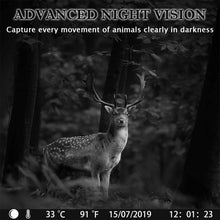 Load image into Gallery viewer, Trail Camera Cellular Waterproof Hunting Camera 32G 24MP 1080P Wildlife Trail Game Camera Night Vision