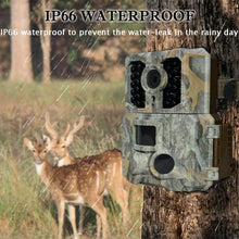 Load image into Gallery viewer, Trail Camera Cellular Waterproof Hunting Camera 32G 24MP 1080P Wildlife Trail Game Camera Night Vision